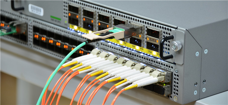 Kinh nghiệm và cách chọn switch chia mạng phù hợp cho mạng LAN