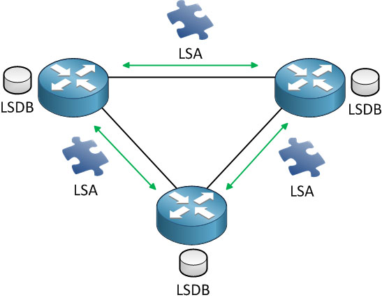 Link-State Database (LSDB) và LSA