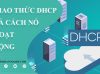 Tìm hiểu về giao thức DHCP
