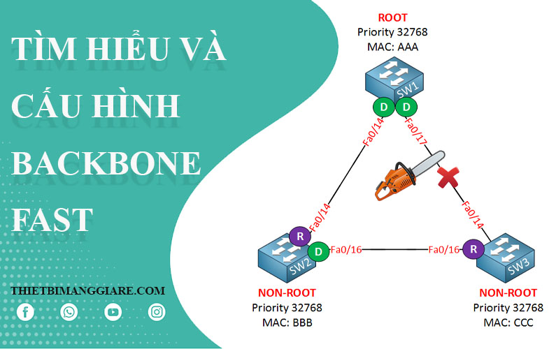 cấu hình Backbone Fast