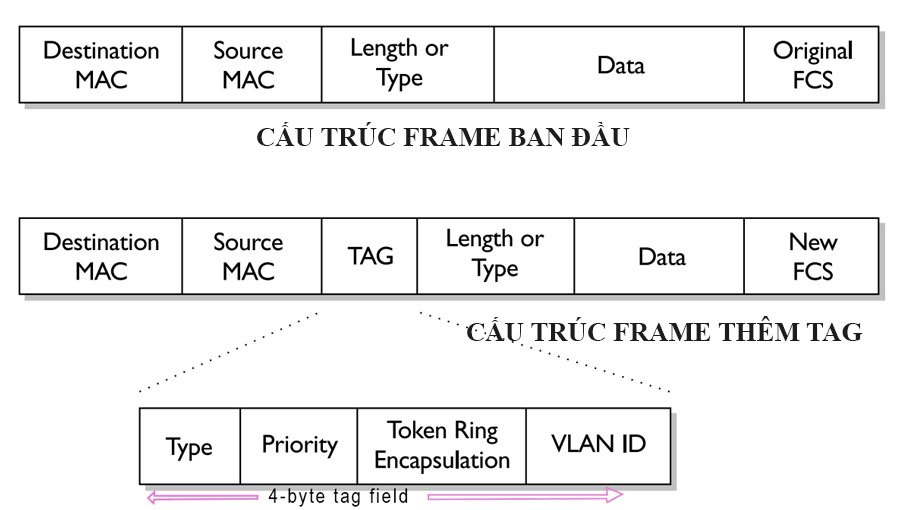cấu trúc frame khi thêm TAG VLAN