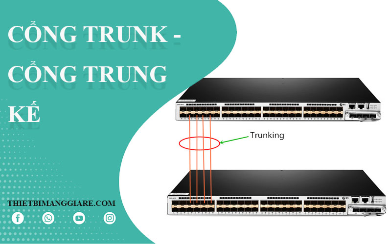 cổng trunk trên switch dùng để làm gì