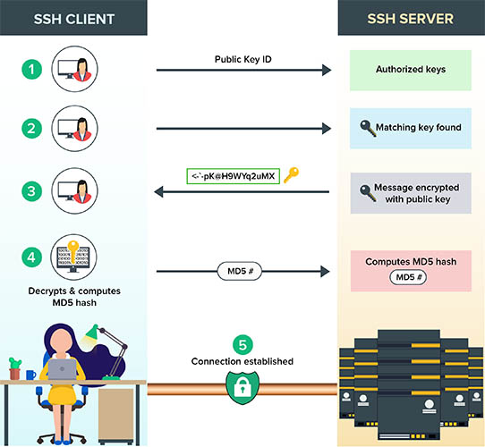 giao thức SSH hoạt động thế nào
