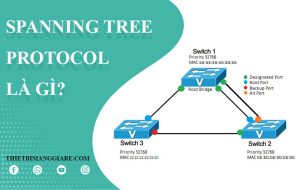 giao thức Spanning Tree trong Switch là gì