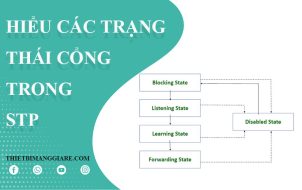 tìm hiểu về Port Sates trong giao thức Spanning Tree