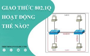 tìm hiểu về giao thức 802.1Q