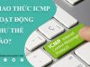 tìm hiểu về giao thức ICMP