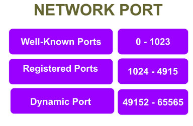 các loại cổng mạng trong giao thức TCP và UDP