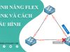 cấu hình Flex Link