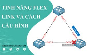 cấu hình Flex Link