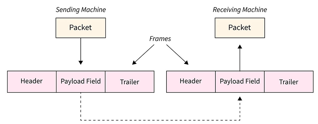 cấu trúc Frame trong data link layer