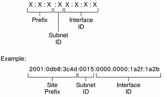 cấu trúc địa chỉ IPv6