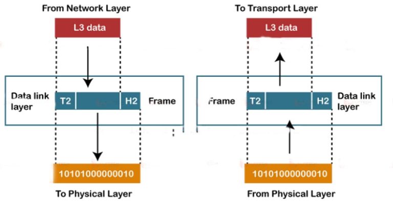 Data Link Layer (Tầng liên kết dữ liệu) trong mô hình OSI - Tìm hiểu ...