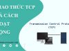 giới thiệu TCP