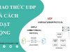 giới thiệu về giao thức UDP