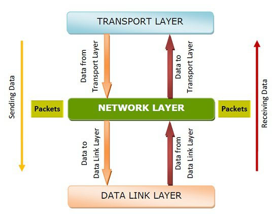 sự tương tác của Network Layer với các lớp khác trong OSI