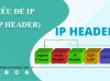 cấu trúc IP Header