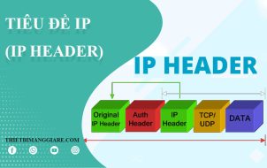 cấu trúc IP Header