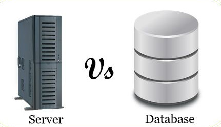 database so với server