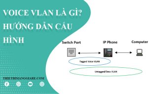 hướng dẫn cấu hình Voice VLAN