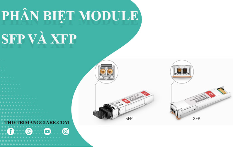 Ph N Bi T Module Quang Xfp V Sfp Thi T B M Ng Gi R