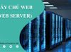 web server là gì